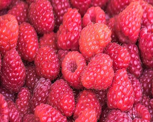 colorful berries rich in antioxidants